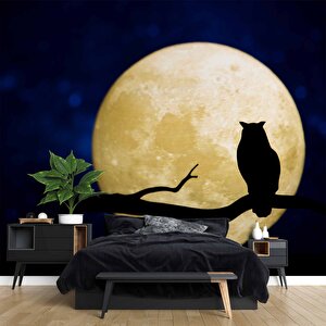Gece Ay Ve Baykuş Manzaralı Duvar Kağıdı - Dkm831107 100x315 cm