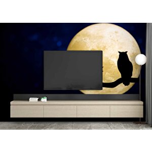 Gece Ay Ve Baykuş Manzaralı Duvar Kağıdı - Dkm831107 100x315 cm