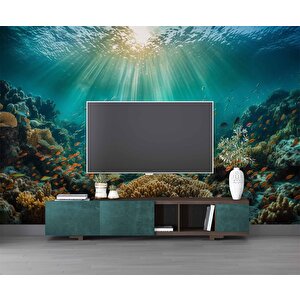 Su Altı Balıklı Duvar Kağıdı Baskı - Dkm233047 225x260 cm
