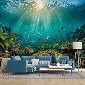 Su Altı Balıklı Duvar Kağıdı Baskı - Dkm233091 275x300 cm