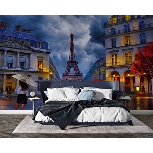 Yağmurlu Günde Eyfel Kulesi Manzarası Duvar Kağıdı - Dkm479029 300x240 cm