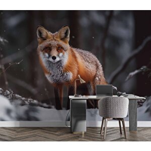 Kar Ve Tilki Manzaralı Duvar Kağıdı - Dkm835017