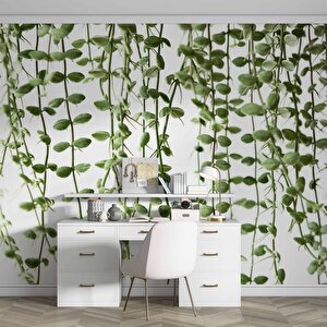 Aşağıya Sarkan Sarmaşık Temalı Duvar Kağıdı - Dkm571058