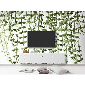 Aşağıya Sarkan Sarmaşık Temalı Duvar Kağıdı - Dkm571093 325x300 cm