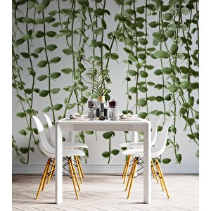 Aşağıya Sarkan Sarmaşık Temalı Duvar Kağıdı - Dkm571093