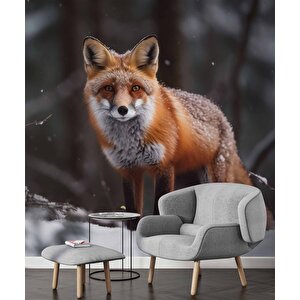 Kar Ve Tilki Manzaralı Duvar Kağıdı - Dkm835102