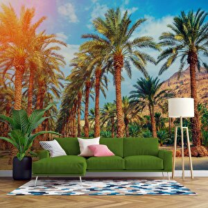 Hindistan Cevizi Ağaç Manzaralı Duvar Kağıdı - Dkb940031 350x240 cm