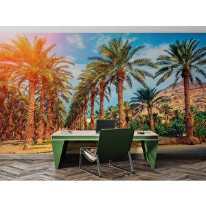 Hindistan Cevizi Ağaç Manzaralı Duvar Kağıdı - Dkb940031