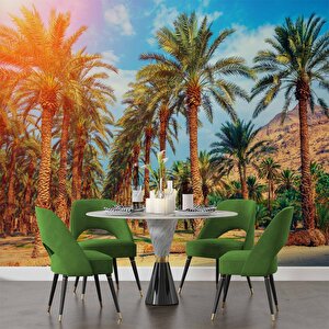 Hindistan Cevizi Ağaç Manzaralı Duvar Kağıdı - Dkb940031