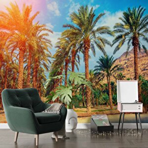 Hindistan Cevizi Ağaç Manzaralı Duvar Kağıdı - Dkb940031