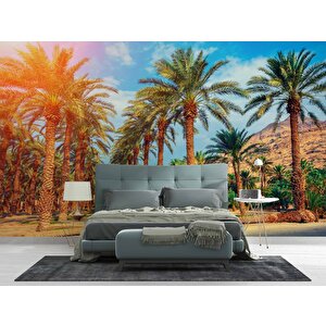 Hindistan Cevizi Ağaç Manzaralı Duvar Kağıdı - Dkb940082 600x280 cm
