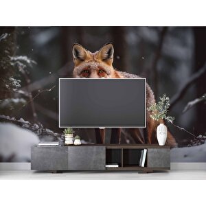 Kar Ve Tilki Manzaralı Duvar Kağıdı - Dkm835076 425x280 cm