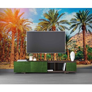 Hindistan Cevizi Ağaç Manzaralı Duvar Kağıdı - Dkb940027 250x240 cm