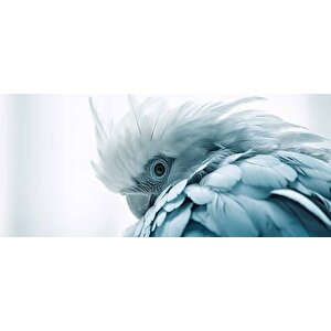 Mavi Papağan Temalı Duvar Kağıdı - Dkm997093