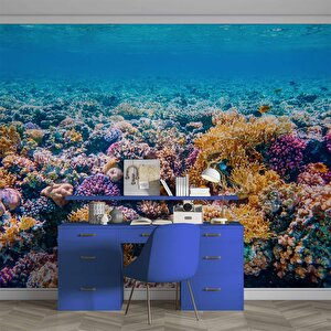 Akvaryum Mercan Manzaralı Duvar Kağıdı - Dkm769124