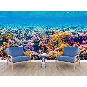Akvaryum Mercan Manzaralı Duvar Kağıdı - Dkm769101