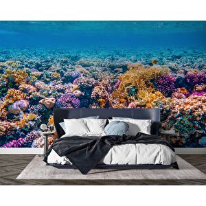 Akvaryum Mercan Manzaralı Duvar Kağıdı - Dkm769083 700x280 cm
