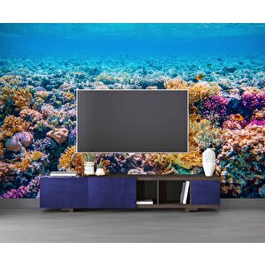 Akvaryum Mercan Manzaralı Duvar Kağıdı - Dkm769083 700x280 cm
