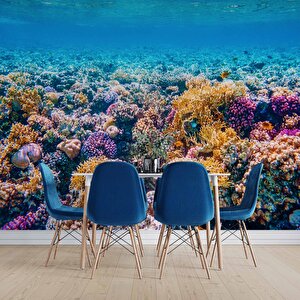 Akvaryum Mercan Manzaralı Duvar Kağıdı - Dkm769104