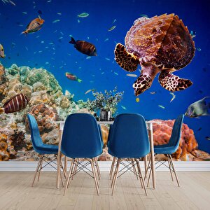 Denizaltı Balık Ve Kaplumbağ Manzaralı Duvar Kağıdı - Dkm844067