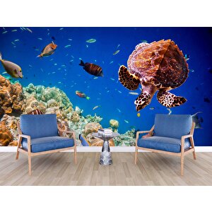 Denizaltı Balık Ve Kaplumbağ Manzaralı Duvar Kağıdı - Dkm844067