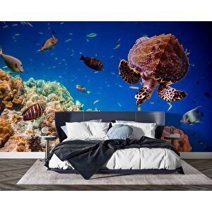 Denizaltı Balık Ve Kaplumbağ Manzaralı Duvar Kağıdı - Dkm844110 225x315 cm