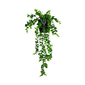 Yapay Çiçek Saksıda Sarkan Şimşir Okaliptus Yapay Sarmaşık 56cm Siyah Saksıda