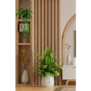 Yapay Çiçek Saksıda Sarkan Şimşir Okaliptus Yapay Sarmaşık 56cm Siyah Saksıda