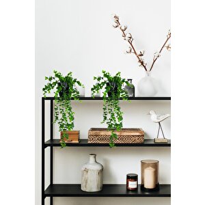 Yapay Çiçek Saksıda Sarkan Şimşir Okaliptus Yapay Sarmaşık 56cm Siyah Saksıda
