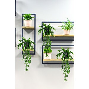 Yapay Çiçek Saksıda Sarkan Şimşir Okaliptus Yapay Sarmaşık 56cm Siyah Saksıda