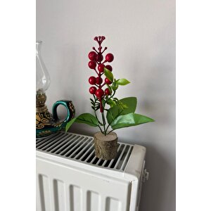 Yapay Çiçek Yılbaşı Çiçeği Kokinalı Kütük Saksılı Dekoratif Süs 20cm