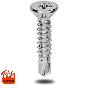 Matkap Uçlu Vida Akıllı Apex Vidası 4.8x25 - 100 Adet