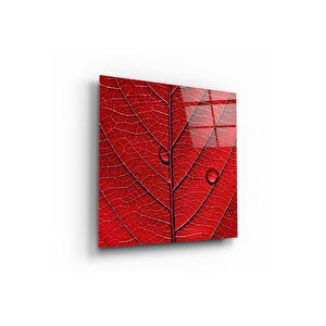 Yaprak Cam Tablo | Hediyelik, Dekoratif, Ofis, Mutfak 50x50 cm