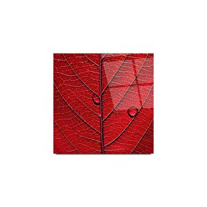 Yaprak Cam Tablo | Hediyelik, Dekoratif, Ofis, Mutfak 50x50 cm