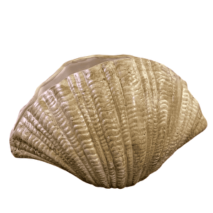 İsti̇ri̇dye Vazo Vz345-5