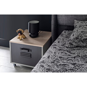 Thor Grey Genç Odası Takımı