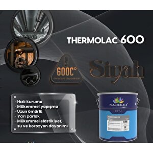 Thermolac 600 Derece Isıya Dayanıklı Boya 2.5 Kg Siyah