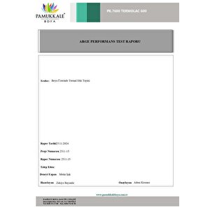 Thermolac 600 Derece Isıya Dayanıklı Boya 2.5 Kg Siyah