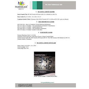 Pamukkale Thermolac 600 Derece Isıya Dayanıklı Boya 2.5 Kg Siyah