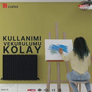 Pipette Yatay Yakıt Tasarruflu Premium Malzeme Alüminyum Radyatör Modern Tasarım Antrasit 60x66 Cm 60x66 cm