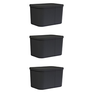 3 Adet 6 Litre Midi Çok Amaçlı Kapaklı Saklama Kutusu - Havlu, Kozmetik Kişisel Eşya Düzenleyici, Antrasit Antrasit