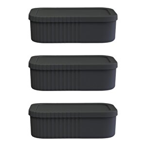 3 Adet 3 Litre Çok Amaçlı Kapaklı Saklama Kutusu Seti - Makyaj, Kozmetik Kişisel Eşya Düzenleyici, Antrasit Antrasit