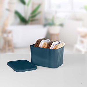 Kapaklı 6 Litre Midi Çok Amaçlı Saklama Kutusu - Havlu, Kozmetik Kişisel Eşya Düzenleyici, Mavi Mavi
