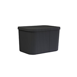 Kapaklı 6 Litre Midi Çok Amaçlı Saklama Kutusu - Havlu, Kozmetik Kişisel Eşya Düzenleyici, Antrasit Antrasit
