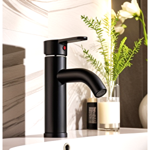 Siyah Mix Lavabo Bataryası F2 model 21 cm