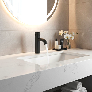 Siyah Mix Lavabo Bataryası F2 model 21 cm