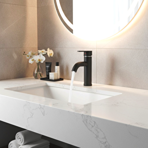 Siyah Mix Lavabo Bataryası F2 model 21 cm