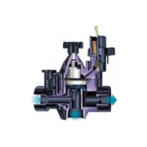 Raınbırd 100 Pga Selenoid Vana 1" Bsp (32 Mm.) 24 Volt