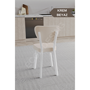 1 Adet Elma Model Mutfak Sandalyesi Salon Sandalyesi Yemek Sandalyesi Cafe Restaurant Sandalyesi