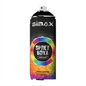 Sprey Boya Gümüş Gri (ral 9006)
